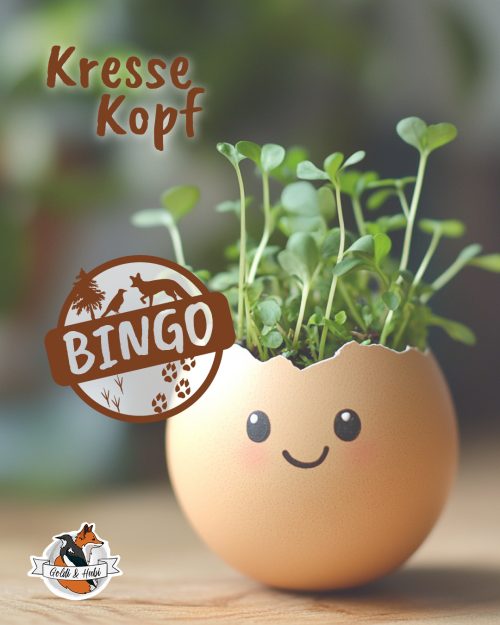 Frühlings-Bingo